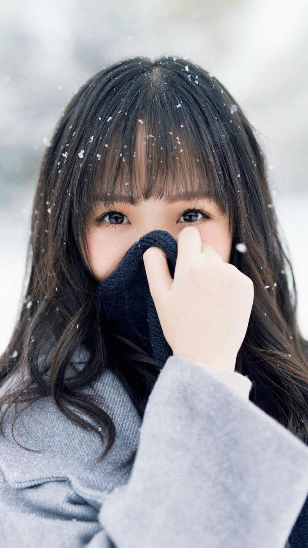 中国女排全胜晋级世联赛八强，中国女排全胜晋级8强