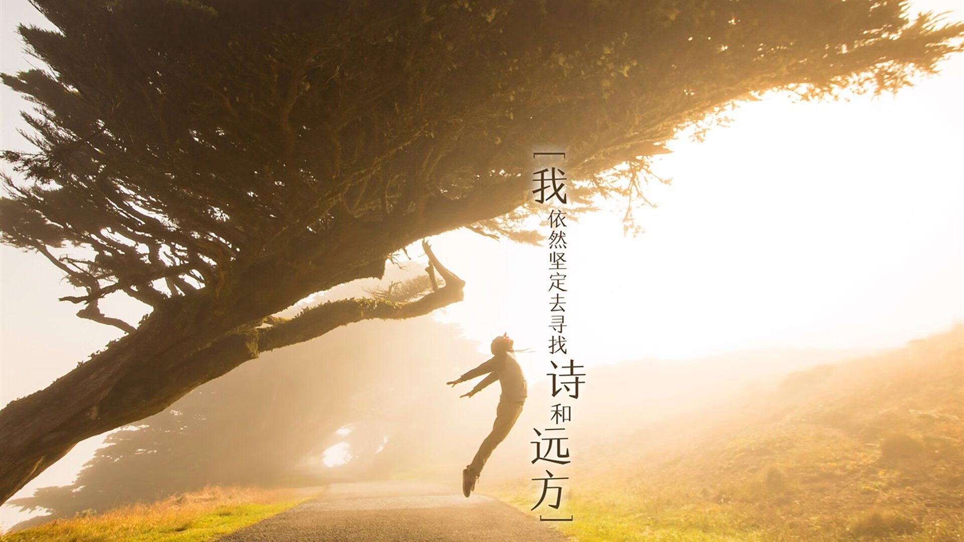阿斯顿维拉胜多负少，豪门风范尚未恢复，阿斯顿维拉球员身价