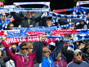 AYX爱游戏中国-球迷文化盛宴：从欧洲到亚洲的足球狂欢，中国足球球迷文化