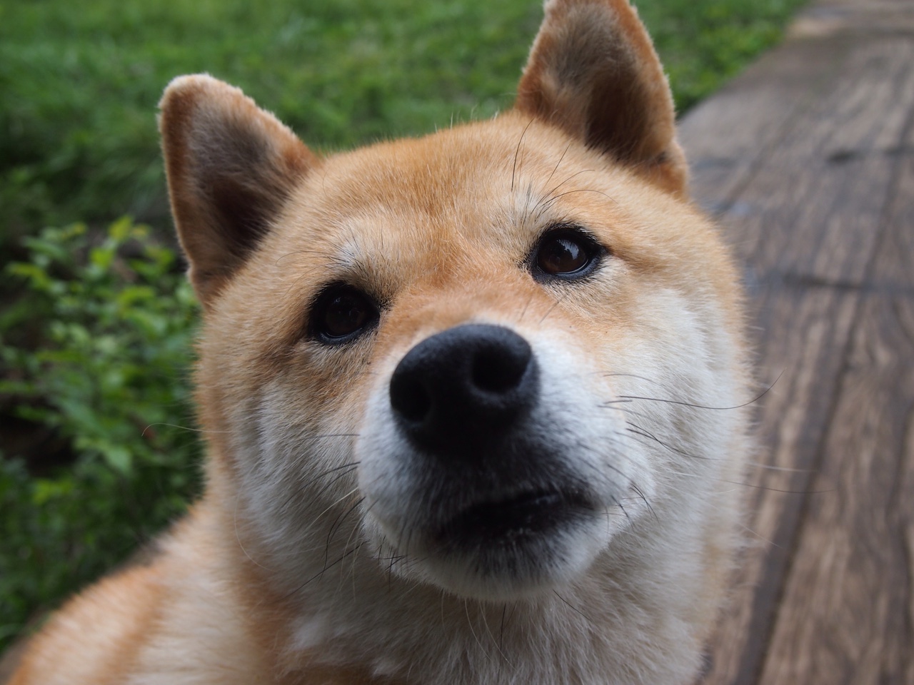 英超球队体能监控技术助力赛季中期负荷平衡,英超 manager