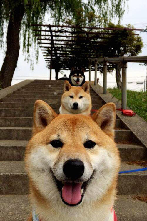 西甲裁判吹罚尺度演变对比赛节奏的微观影响研究,足球裁判吹罚