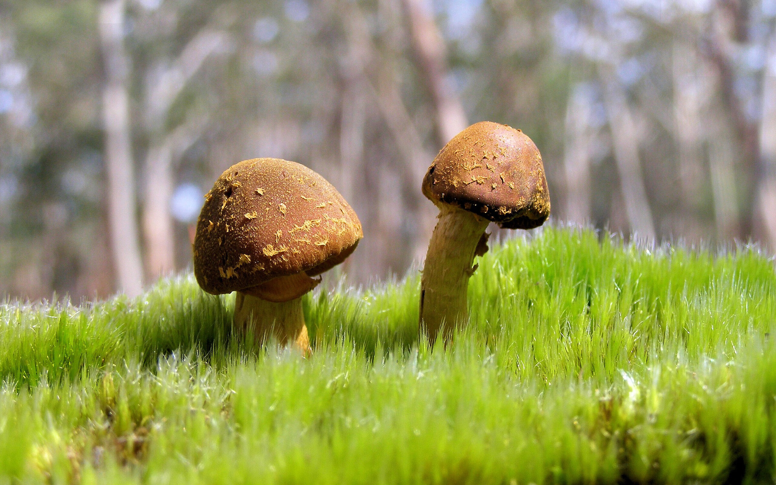 世界帆船锦标赛落幕 中国队表现稳健,帆船比赛世界排名