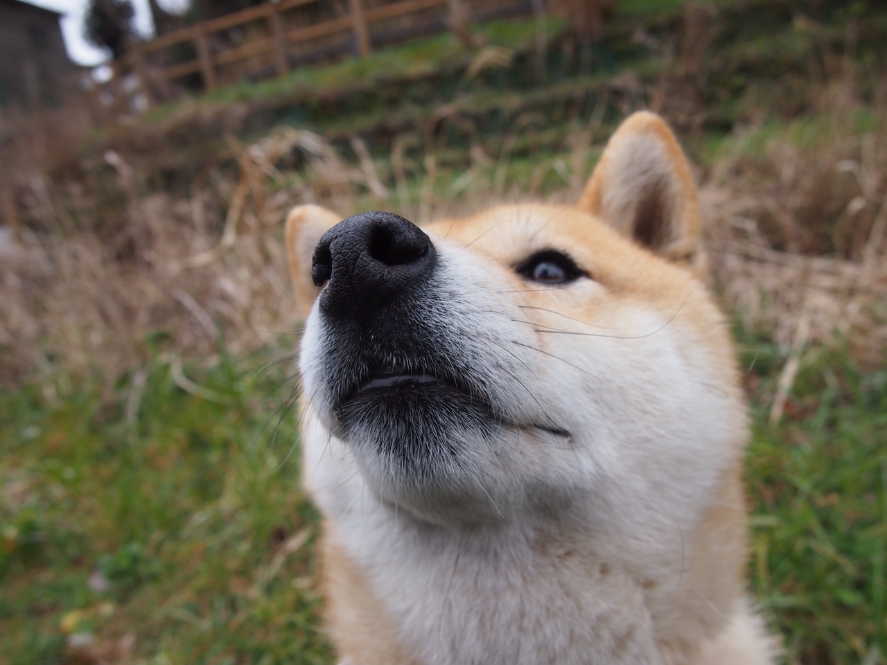 国家女篮赢得重要比赛提升国际排名，女篮国际篮联排名