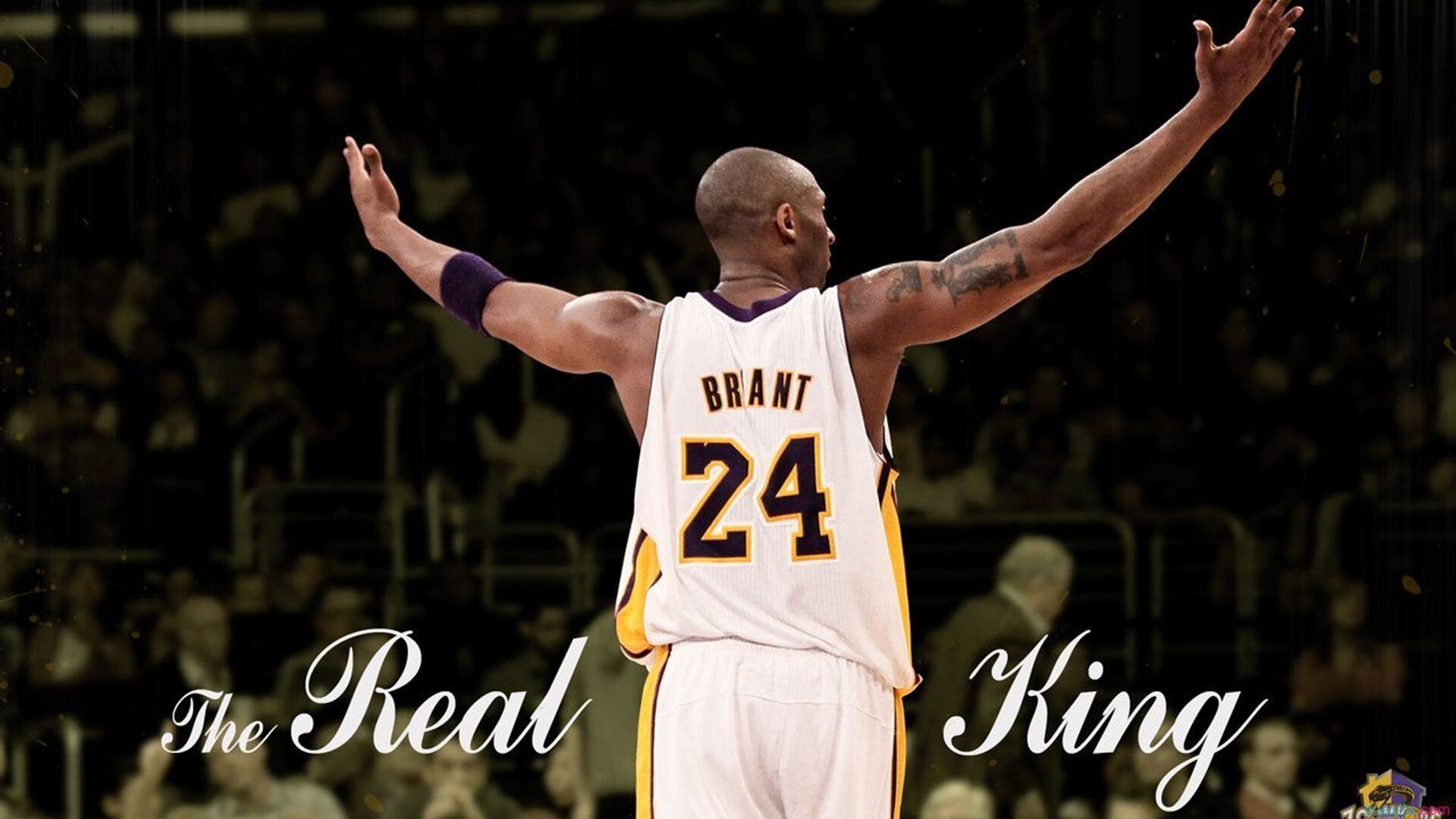 “未来青训”项目精细化发展目标逐步实现，行业迈入高质量发展新阶段